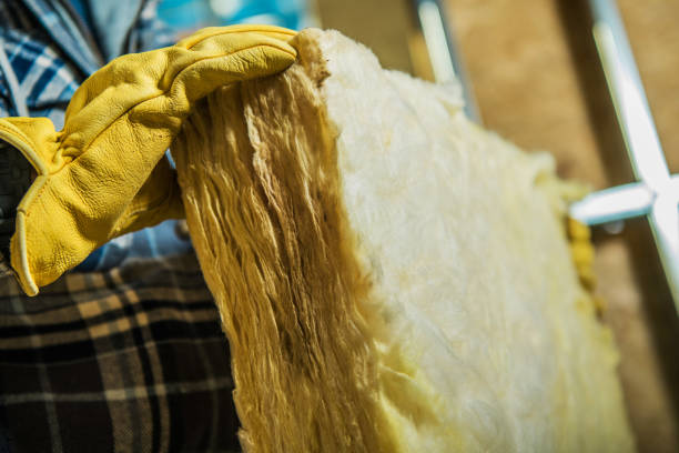 Best Cellulose Insulation in Kodi Station, AK