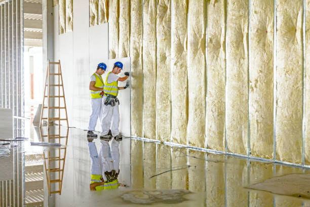 Best Fiberglass Insulation in Kodi Station, AK